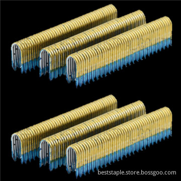 Bygga Nalis vinklade finish Nail Specialty Staples
